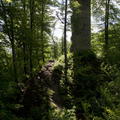 2012-05-13-Bodensee-0019-A
