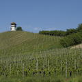 2012-05-14-Bodensee-0118