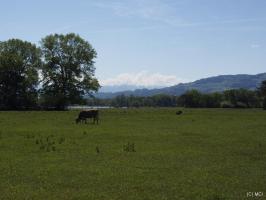 2012-05-17-Bodensee-0329