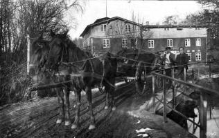 Pferdekutsche Horster Mühle