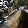 2012-12-09-Darjeeling-066
