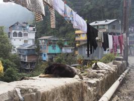 2012-12-09-Darjeeling-088