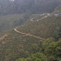 2012-12-09-Darjeeling-122