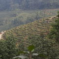 2012-12-09-Darjeeling-129