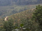 2012-12-09-Darjeeling-129