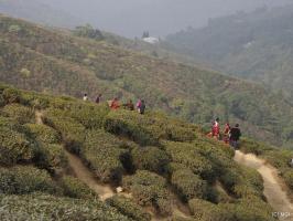 2012-12-09-Darjeeling-133