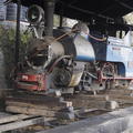 2012-12-10-Darjeeling-017