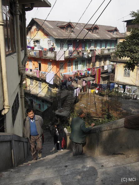 2012-12-10-Darjeeling-039.jpg