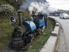 2012-12-10-Darjeeling-076-A