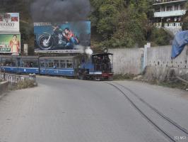 2012-12-10-Darjeeling-117