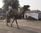 2012-12-13-Agra-002-A
