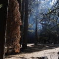 2013-10-02-Yosemite-118