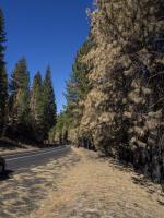 2013-10-03-Yosemite-428-A