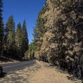 2013-10-03-Yosemite-428-A