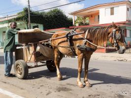 2014-02-23-Kuba-Soroa-SanDiego-022