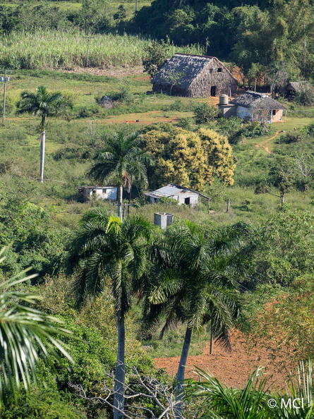 2014-02-25-Kuba-PinarDelRio-VinalesTal-034.jpg