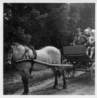 Matthias-1952-mit Pferd und Wagen aus HH