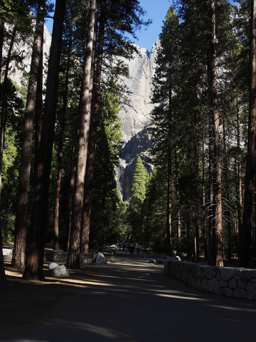 2013-10-02-Yosemite-107.JPG