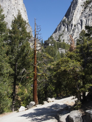 2013-10-02-Yosemite-261.JPG